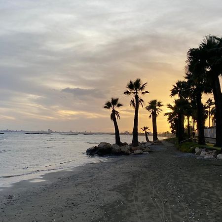 Boronia Hotel Apartments Larnaca Zewnętrze zdjęcie